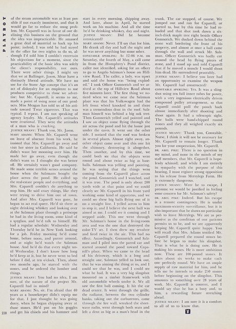 Page 238