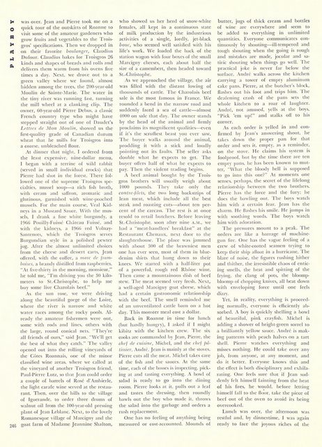 Page 262
