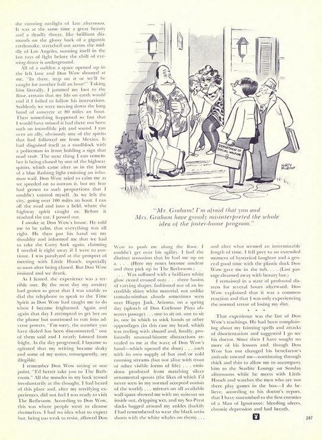 Page 251