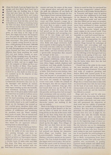 Page 240