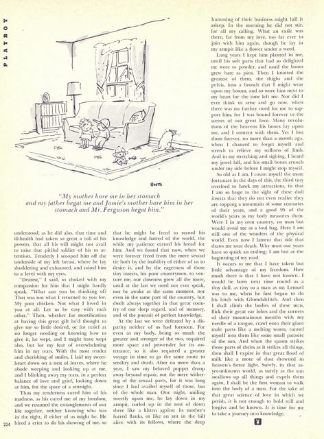 Page 232