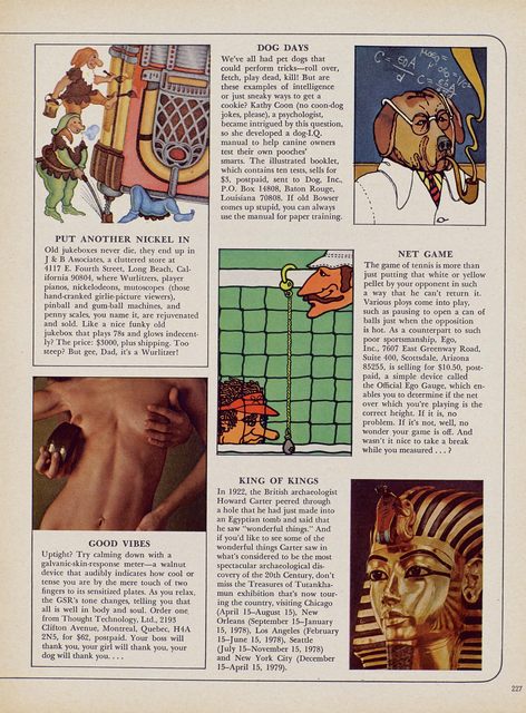 Page 241