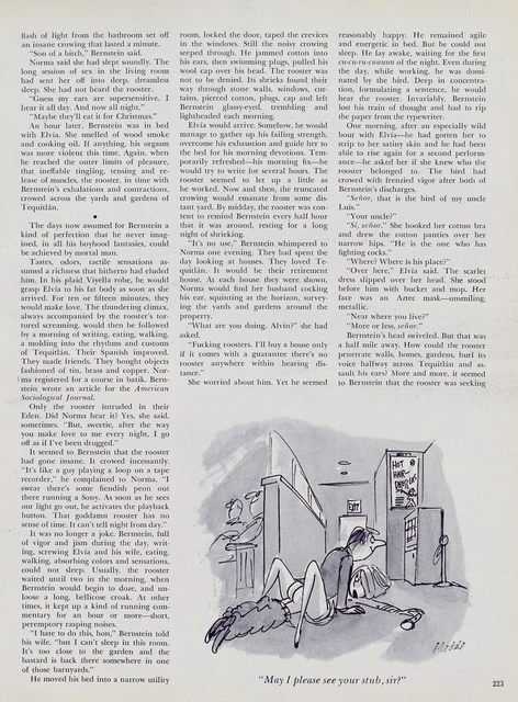 Page 233