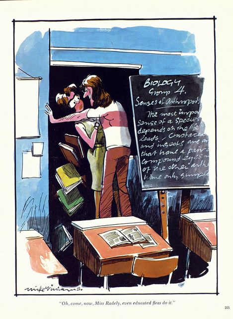 Page 215