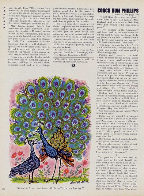 Page 294