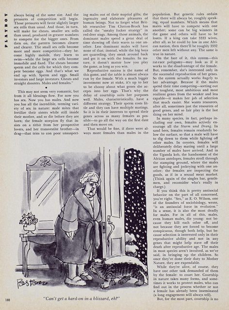 Page 196